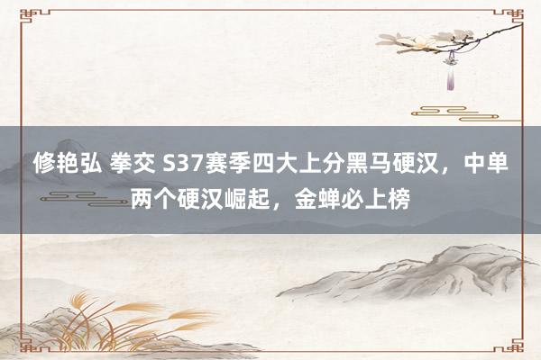修艳弘 拳交 S37赛季四大上分黑马硬汉，中单两个硬汉崛起，金蝉必上榜