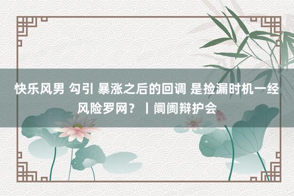 快乐风男 勾引 暴涨之后的回调 是捡漏时机一经风险罗网?丨阛阓辩护会