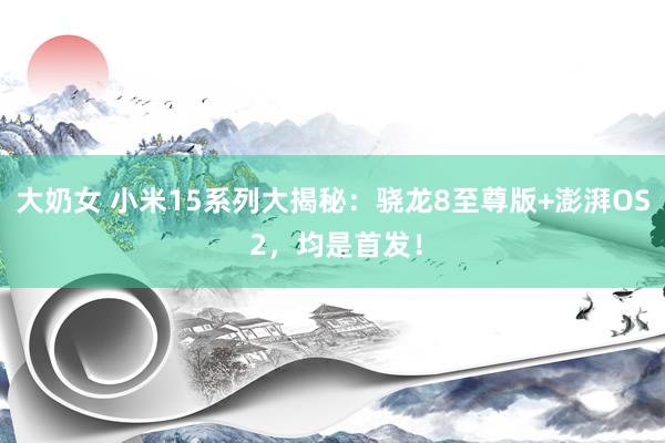 大奶女 小米15系列大揭秘：骁龙8至尊版+澎湃OS 2，均是首发！