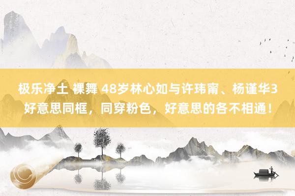 极乐净土 裸舞 48岁林心如与许玮甯、杨谨华3好意思同框，同穿粉色，好意思的各不相通！