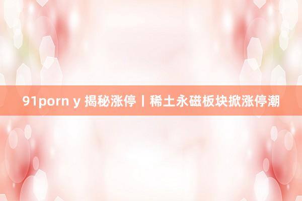 91porn y 揭秘涨停丨稀土永磁板块掀涨停潮