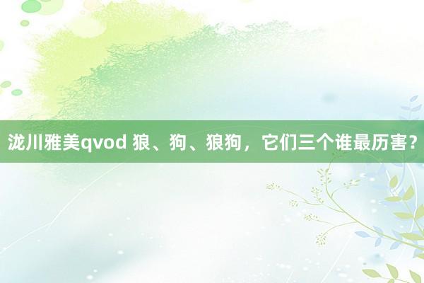 泷川雅美qvod 狼、狗、狼狗，它们三个谁最历害？