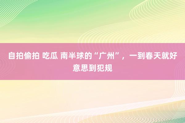 自拍偷拍 吃瓜 南半球的“广州”，一到春天就好意思到犯规