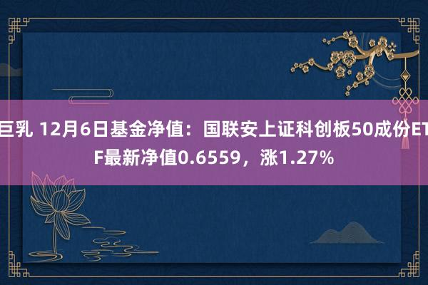 巨乳 12月6日基金净值：国联安上证科创板50成份ETF最新净值0.6559，涨1.27%
