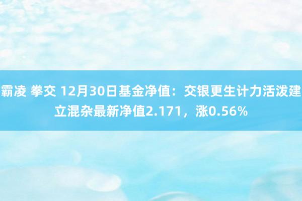 霸凌 拳交 12月30日基金净值：交银更生计力活泼建立混杂最新净值2.171，涨0.56%