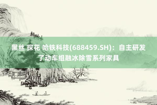 黑丝 探花 哈铁科技(688459.SH)：自主研发了动车组融冰除雪系列家具