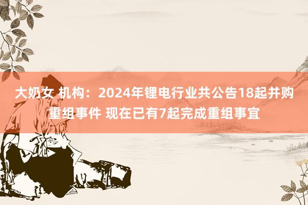 大奶女 机构：2024年锂电行业共公告18起并购重组事件 现在已有7起完成重组事宜